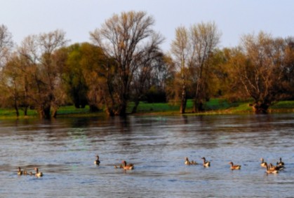 Campingplatz Magdeburg _..